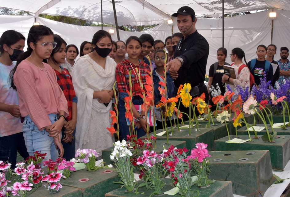 Divisional fruit-vegetable and flower exhibition held
