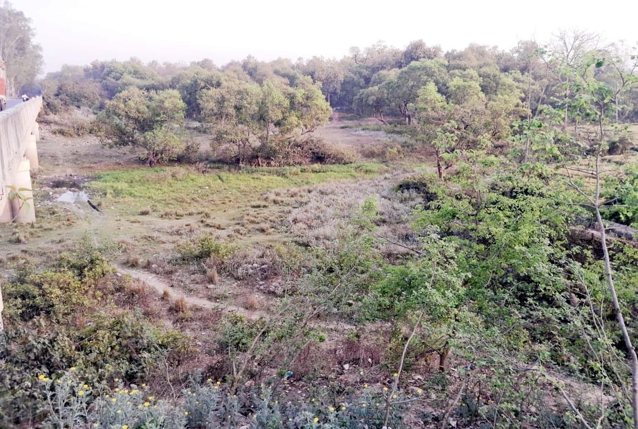 Due to the encroachment, the Kathina river is going through a difficult phase to save its existence.