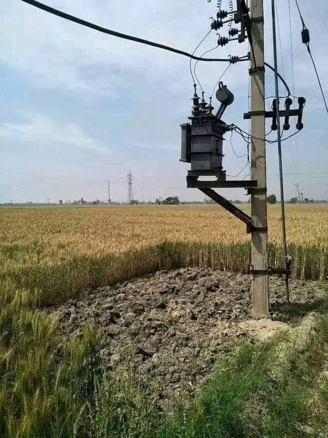 learned from internet how to save wheat from fire