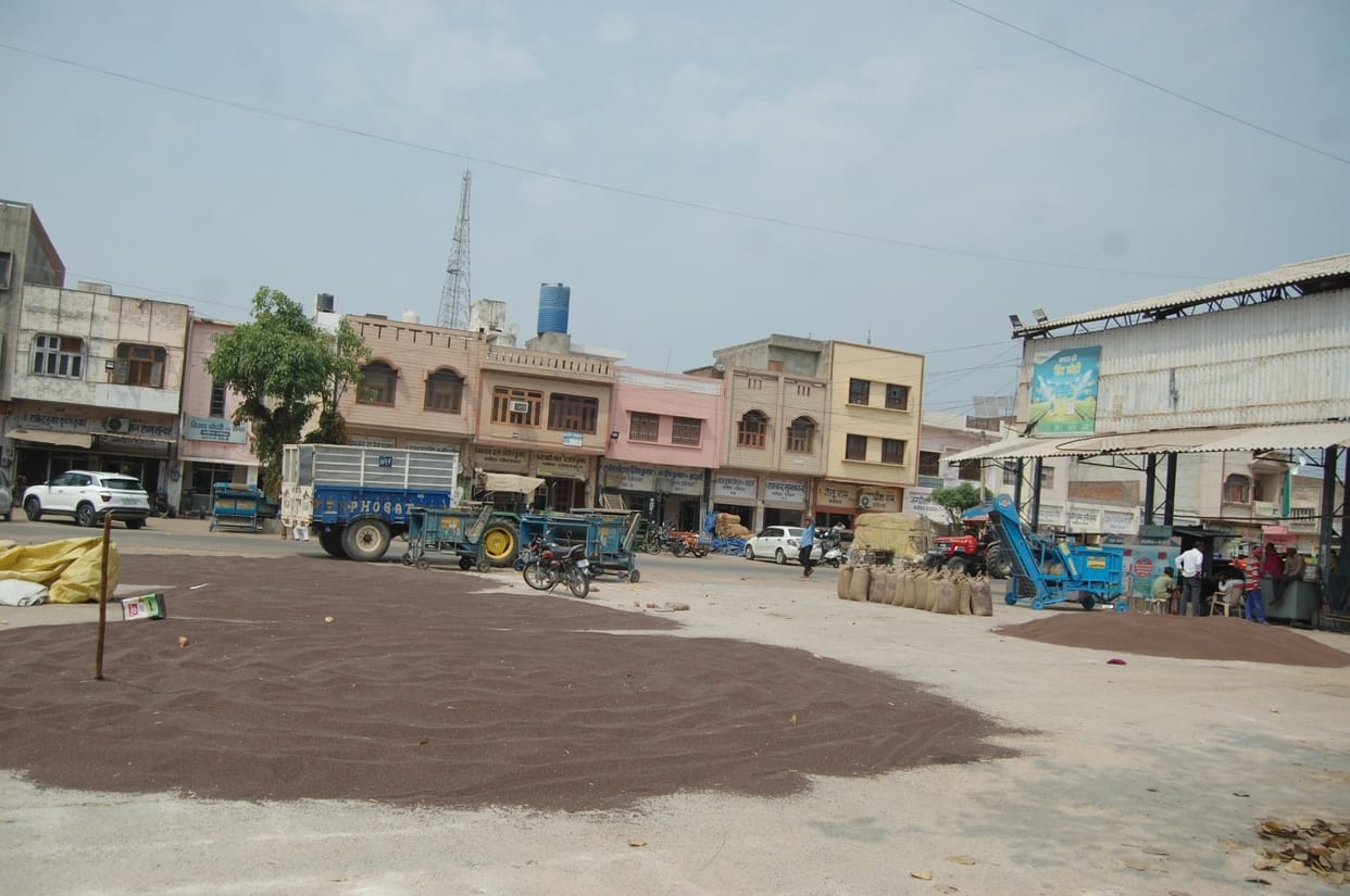 Farmers forced to sell mustard crop at one and a quarter price, government procurement is not happening due to high moisture content