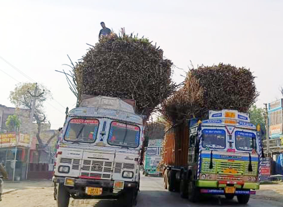 Stay away from these trucks...