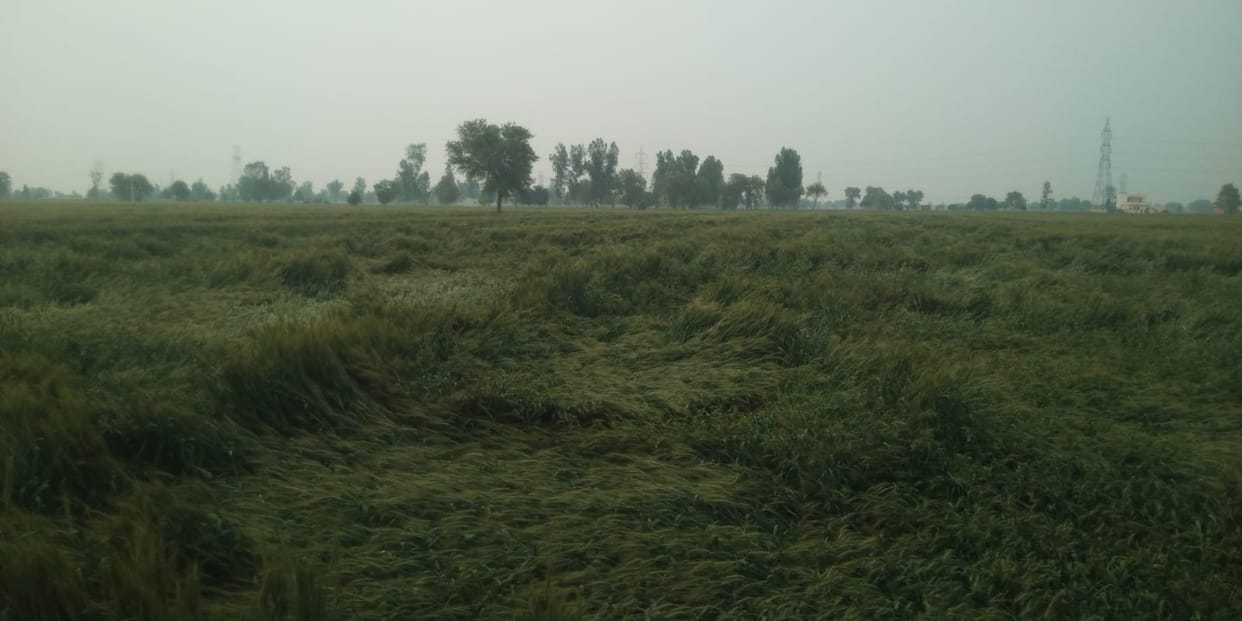 Clouds remained throughout the day, it rained in the evening, the temperature dropped by three degrees