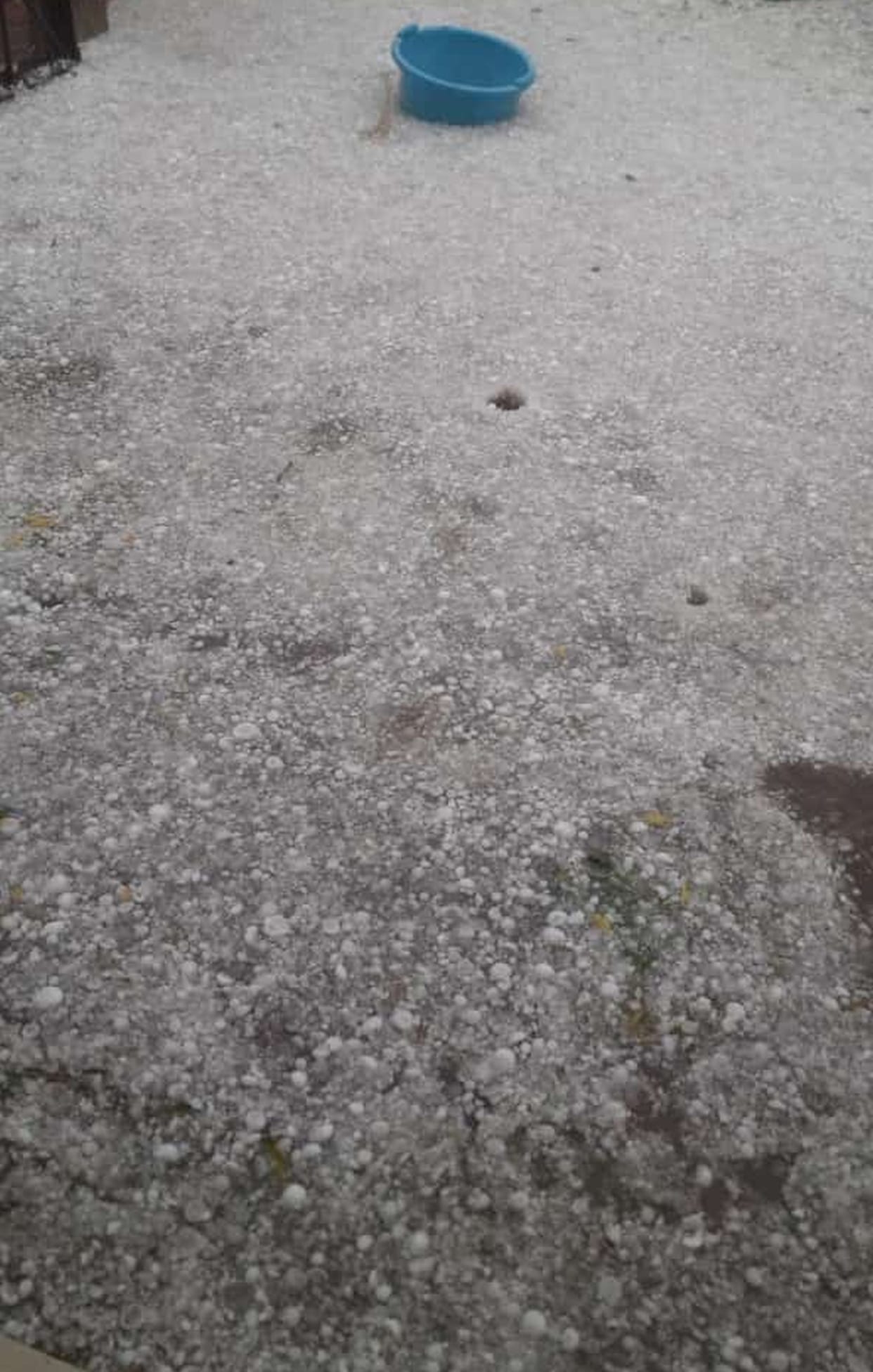 Hail with heavy rains, rain on farmers