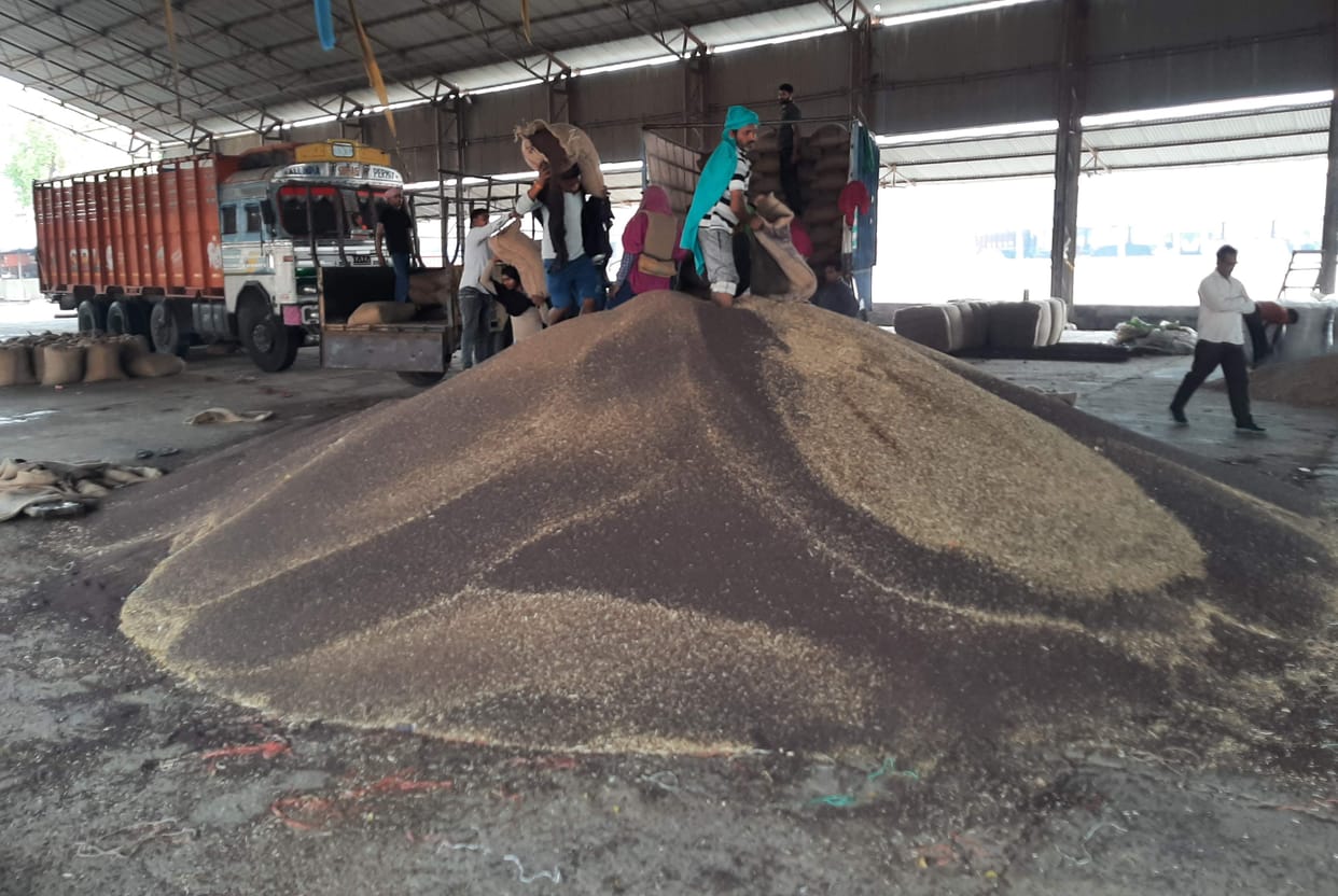 Private agency bought 470 quintals while government agency bought only 136 quintals of mustard