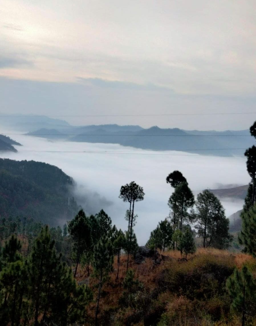 In Almora, rain and fog made it difficult