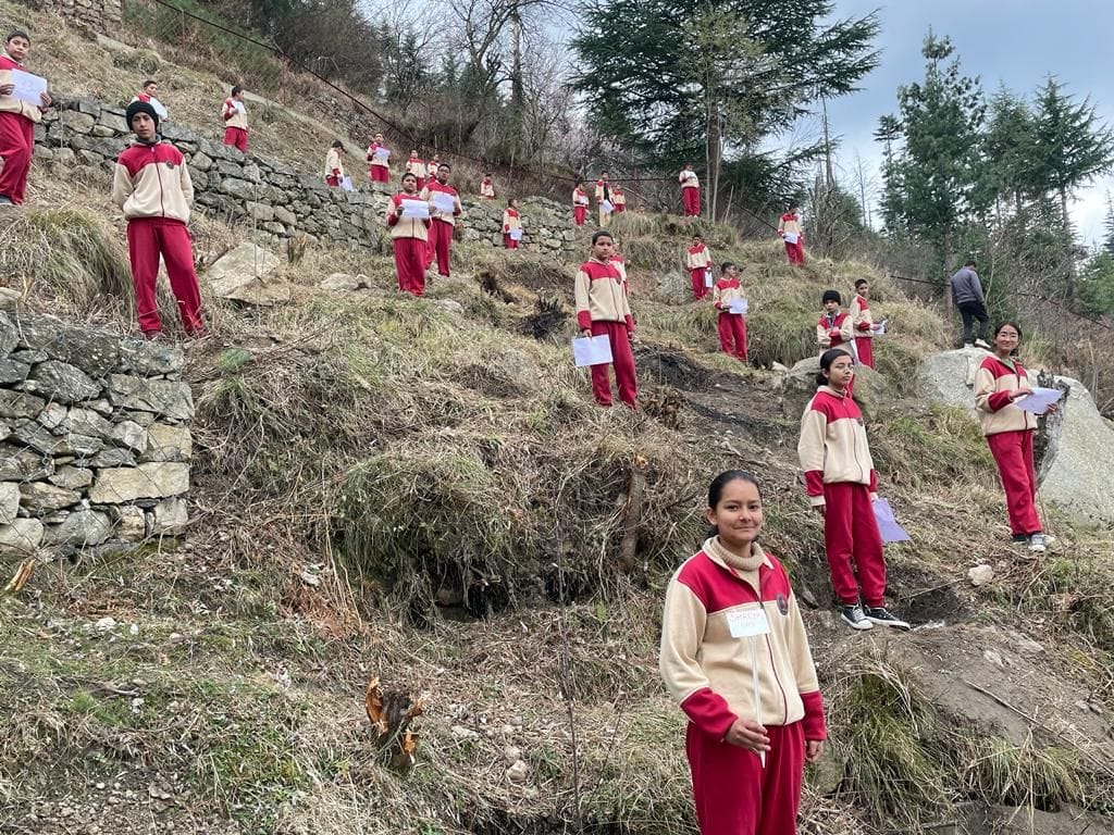kinnaur news, tree plantation, nichar, eklavya school