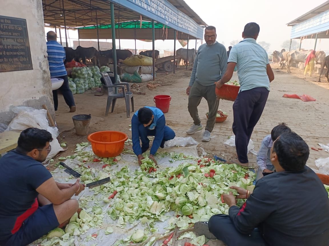 Youth came forward to help the gaushalas struggling with financial crisis in the city