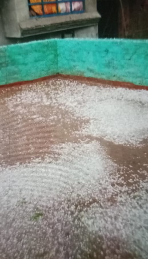 Damage to crops due to strong wind and hail