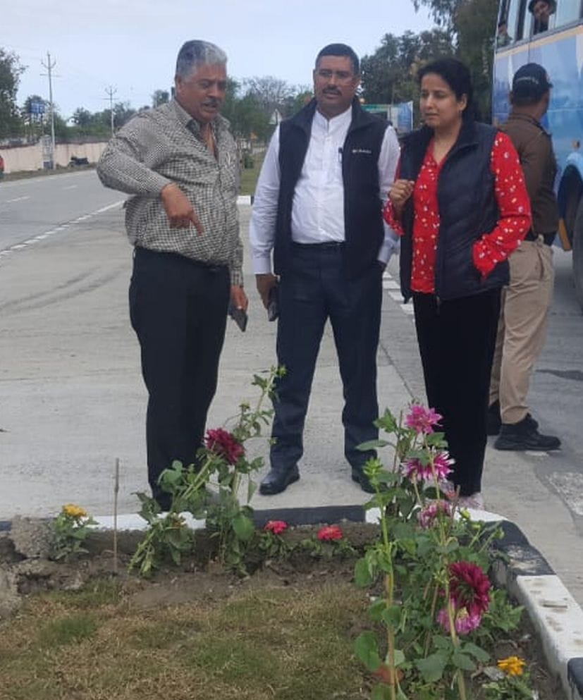 20 thousand flower plants planted on one kilometer divider
