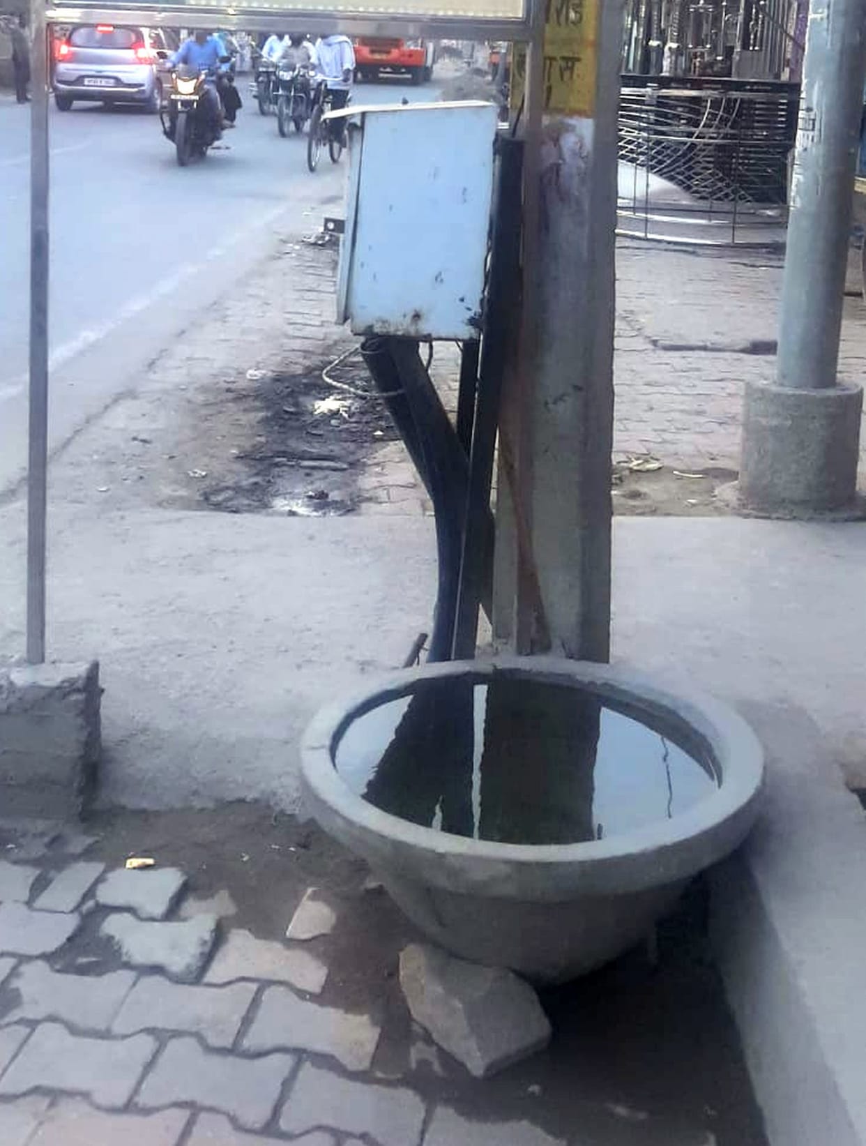 Birds get two sips of water in every house, municipality will make aware