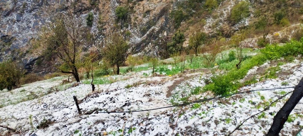 Hailstorm wreaks havoc in Panbi and Tarung