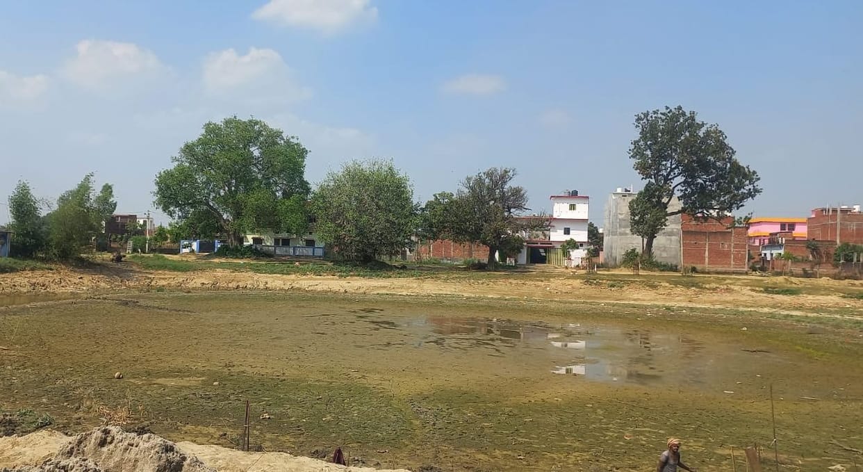 Amrit dried up in the lake