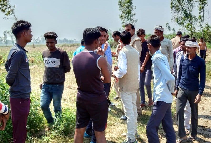 Villagers surrounded the tiger sitting in the field with sticks