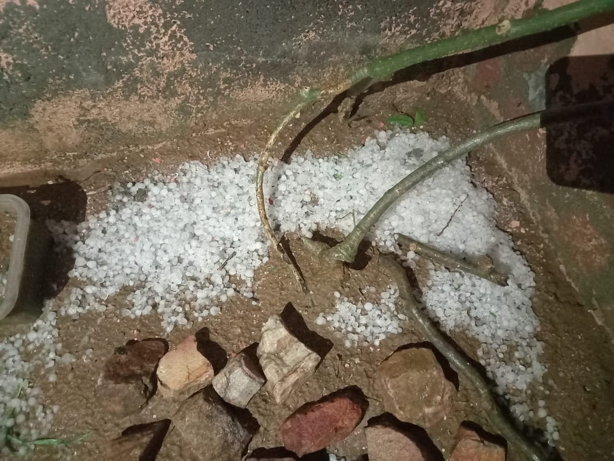 Heavy rain accompanied by hailstorm in the villages of Tosham area