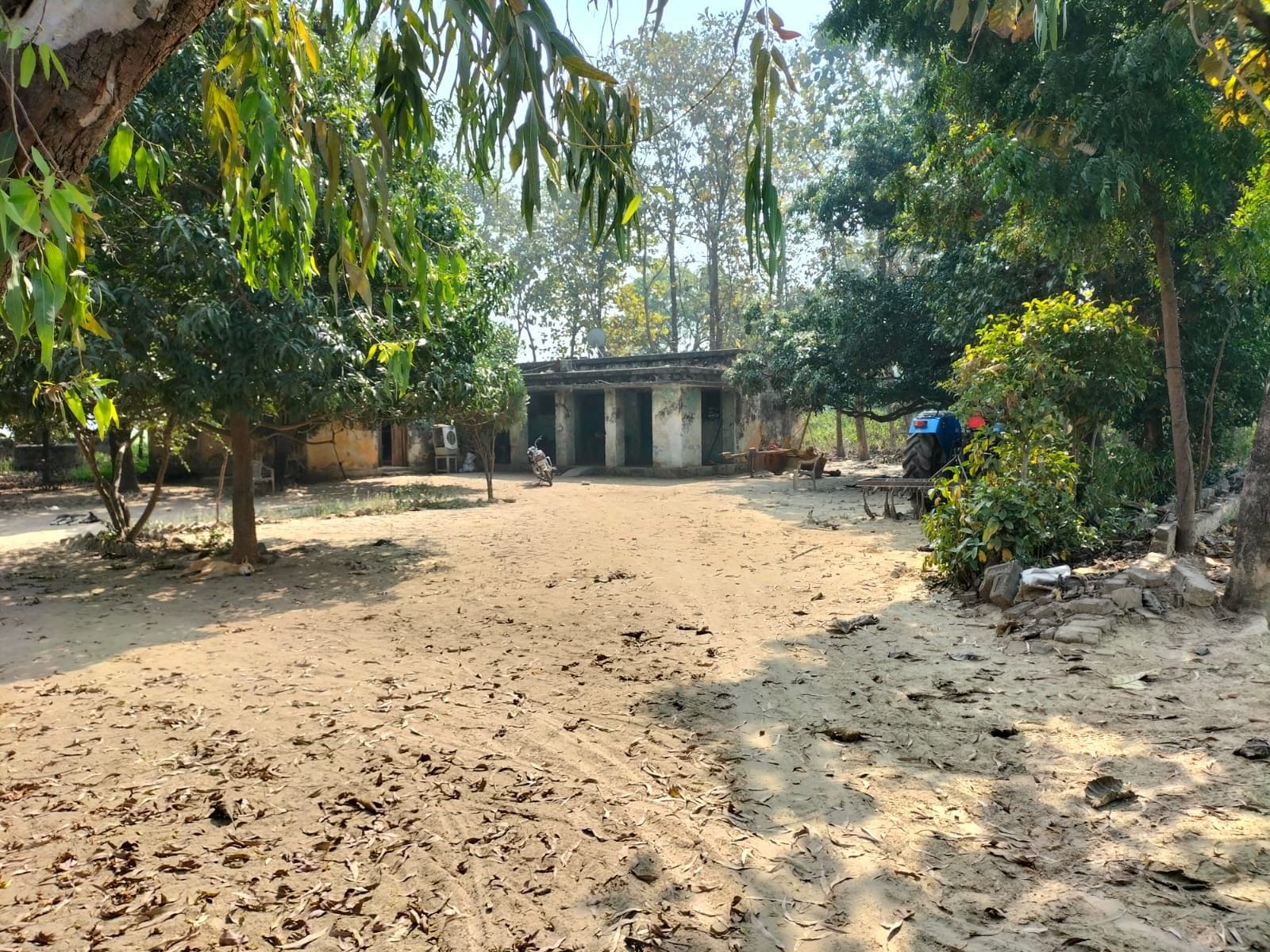 university open gonda