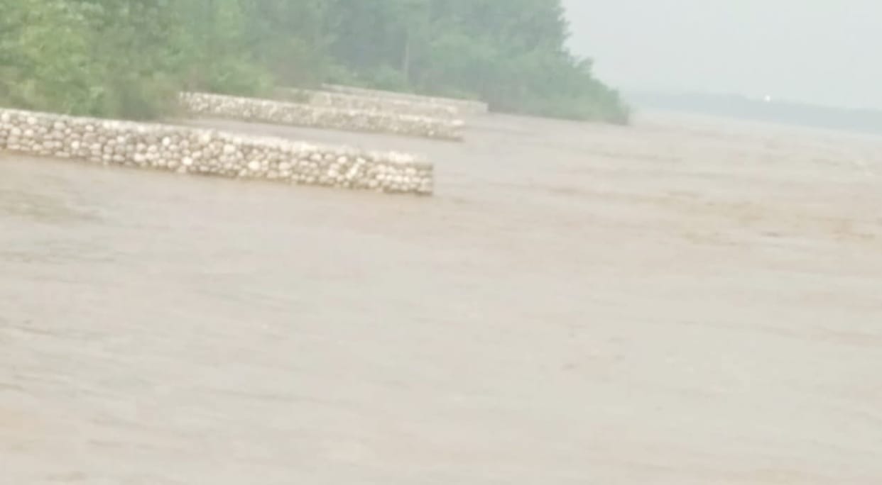 Yamuna bridge will be built at Alhanpur Saundhebans Ghat with 49 crores