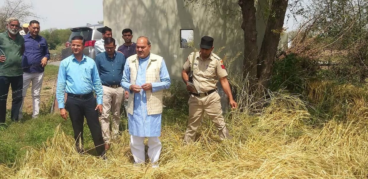 kosli mla laxman yadav took stock of destroyed crops