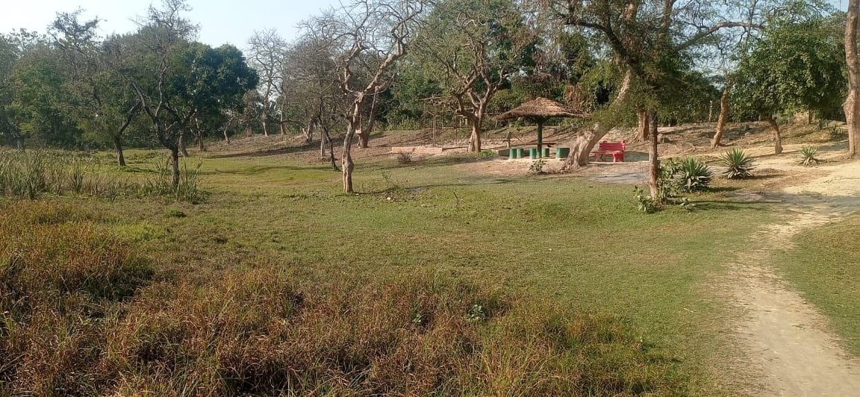 darjinia tal