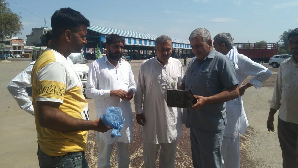 Government procurement of 8.81 tonnes of mustard in 13 days, payment of more than two and a half lakhs