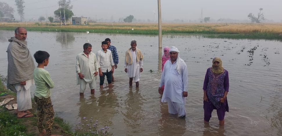 Waterlogging in 50 acres due to Nigana feeder overflow in village Sagwan