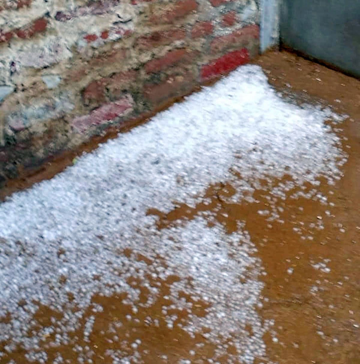 Hailstorm occurred in three villages of Bhattu area