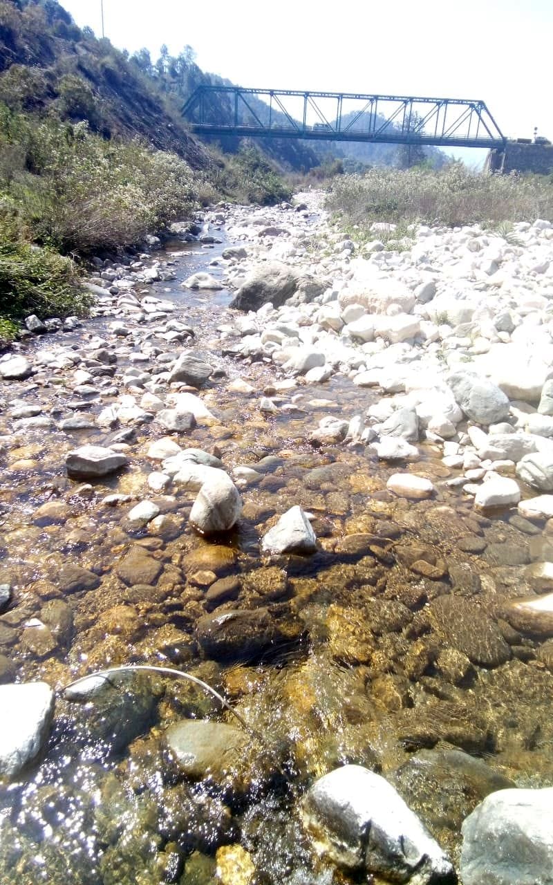 Life-giving Gagas and Ramganga river can be revived from Pindar