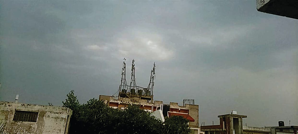 Drizzle increased the concern of farmers