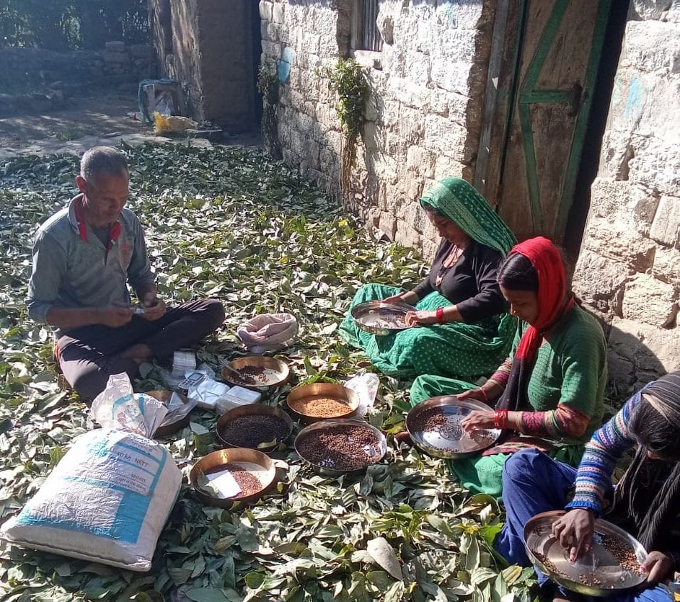 Tobacco - Timur not Gutkha
