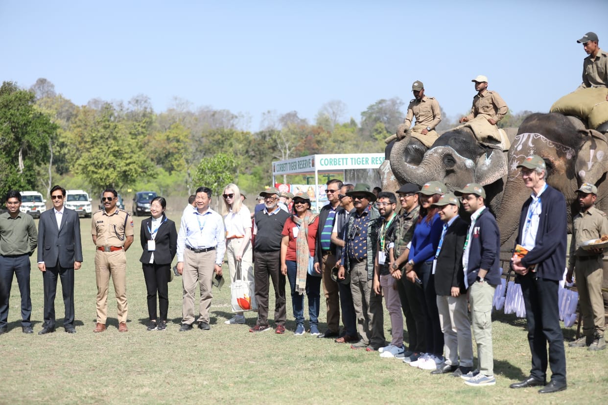 Jim Corbett Park G20 Intro