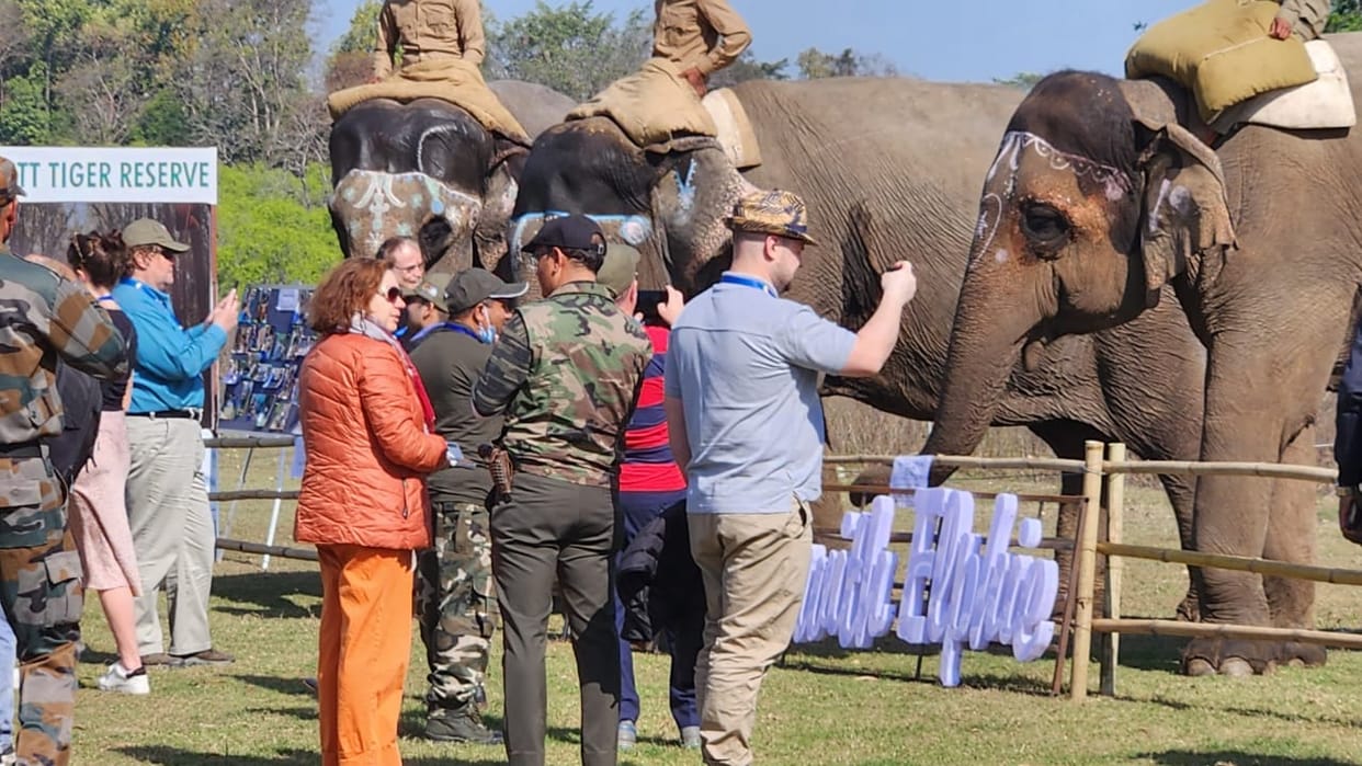Ramnagar News: G-20 Delegate Animal Treatment