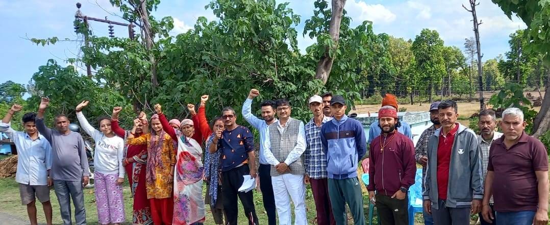 No Tree Cut in Banabasa