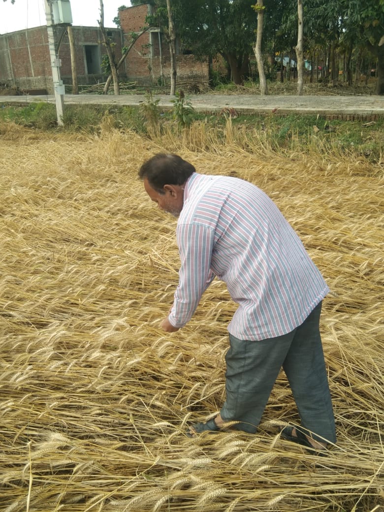 weather change in siddhrthnagar