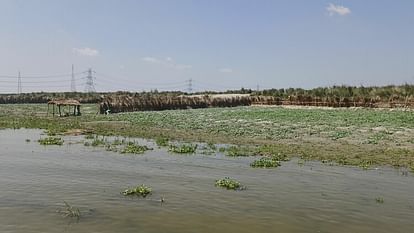 Water level of river Ganges increased, 100 bighas of watermelon and vegetable crops submerged