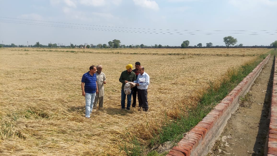 Special Girdawari work continues, farmers will hand over demand letter for compensation today