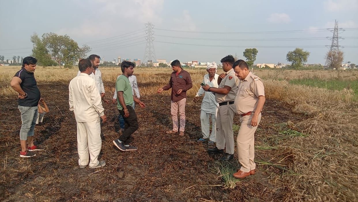 Wheat crop burnt in one acre due to spark