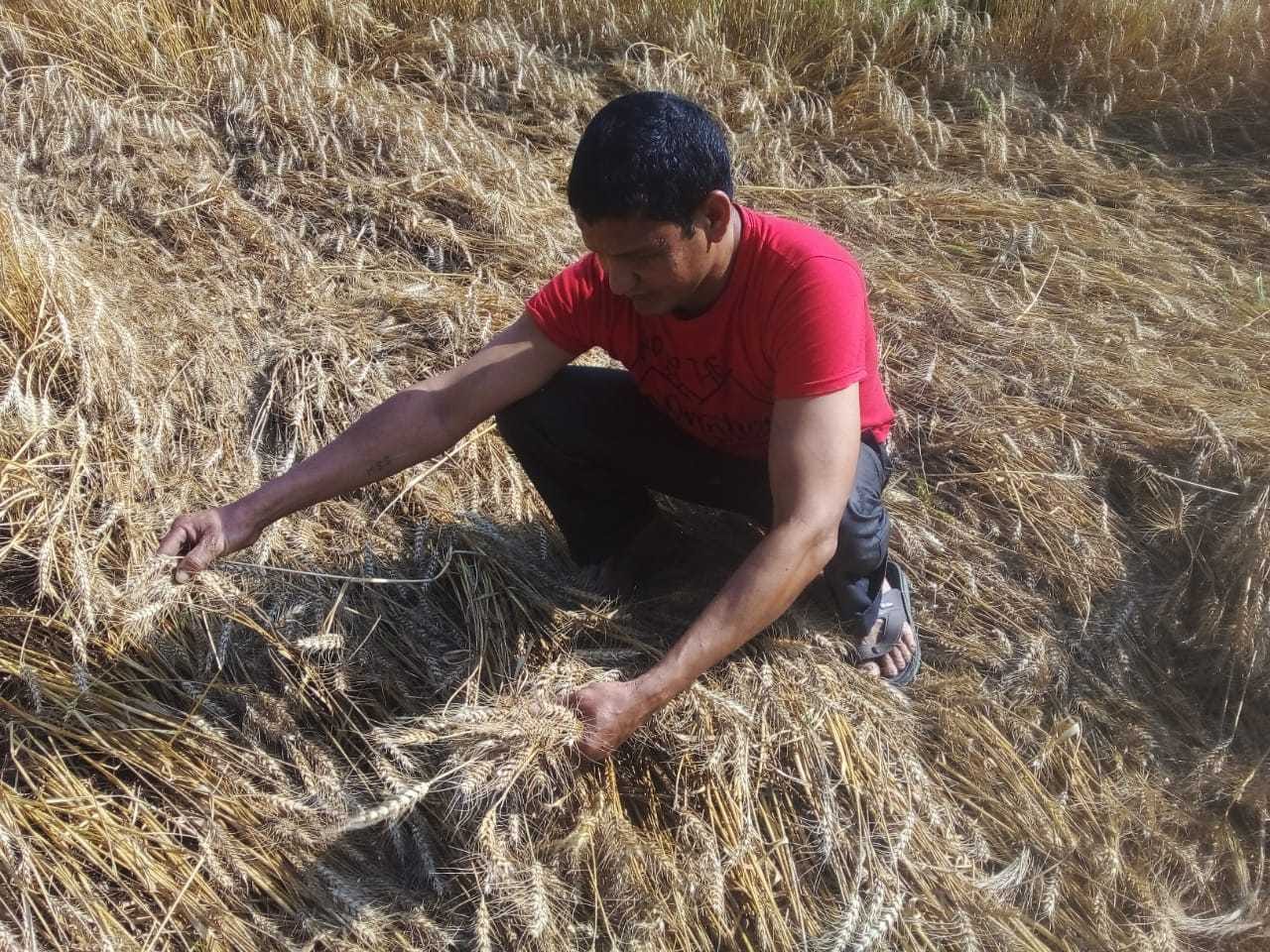 weather hit farmers