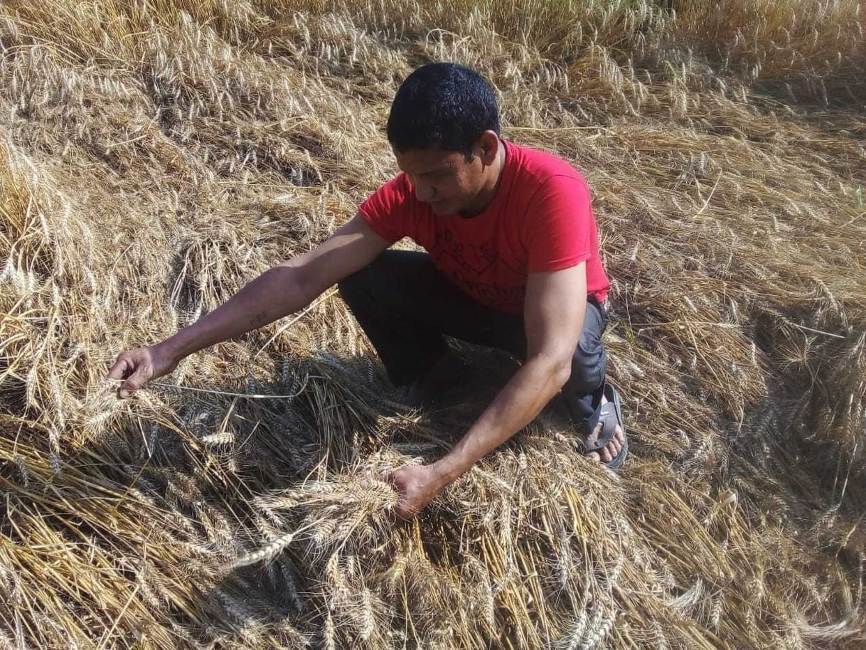 weather hit farmers