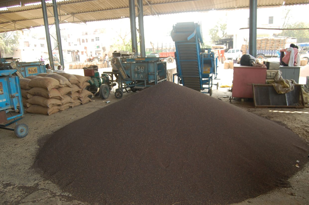 Hafed has been able to buy only 20 percent mustard on MSP