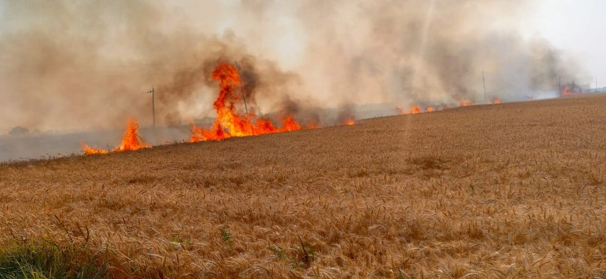 Combine machine touched by wire at the time of wheat harvesting, laborer died due to electrocution