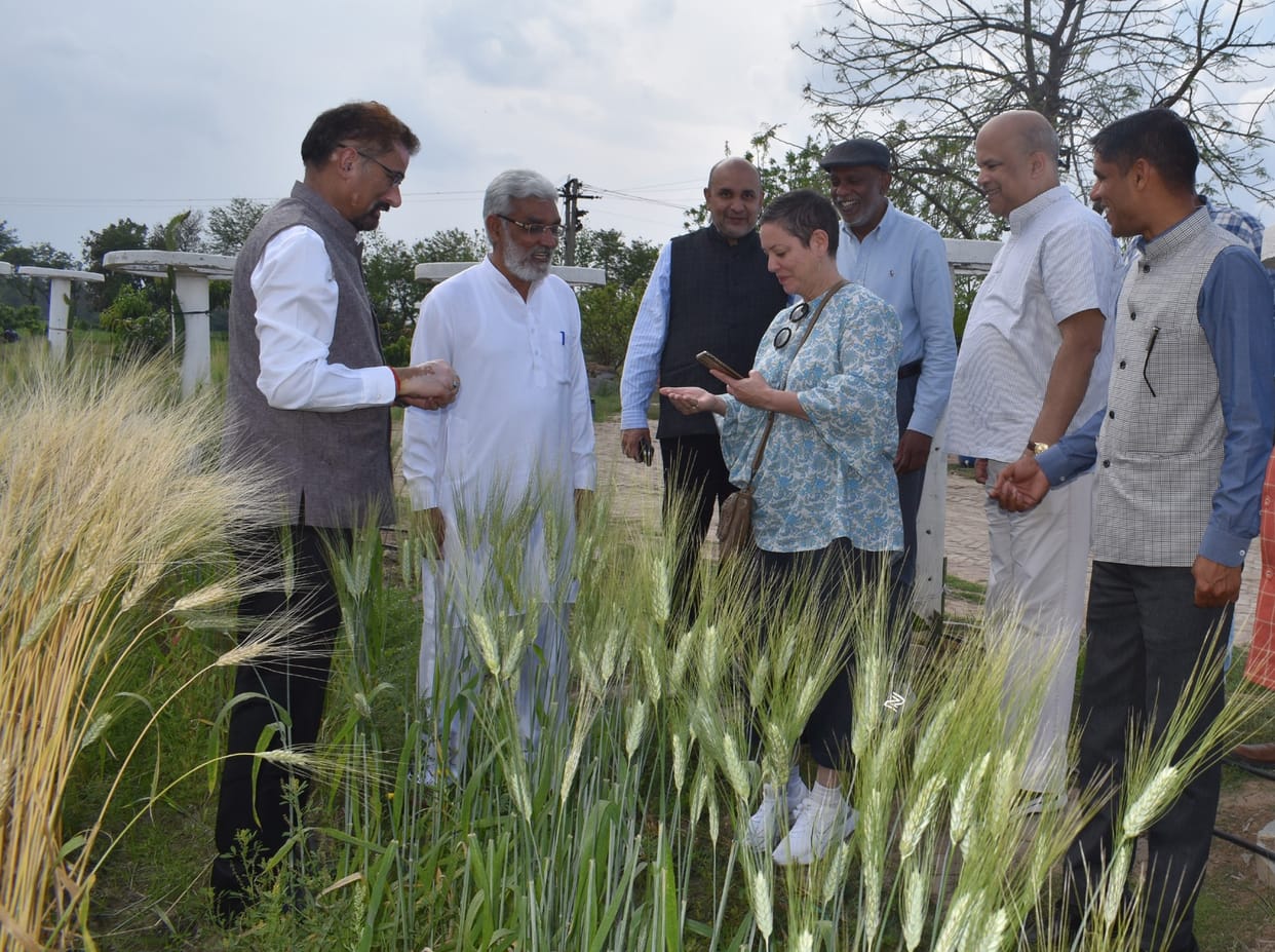 Now Sri Lanka has turned towards natural farming, Acharya Devvrat's natural farming model will be implemented