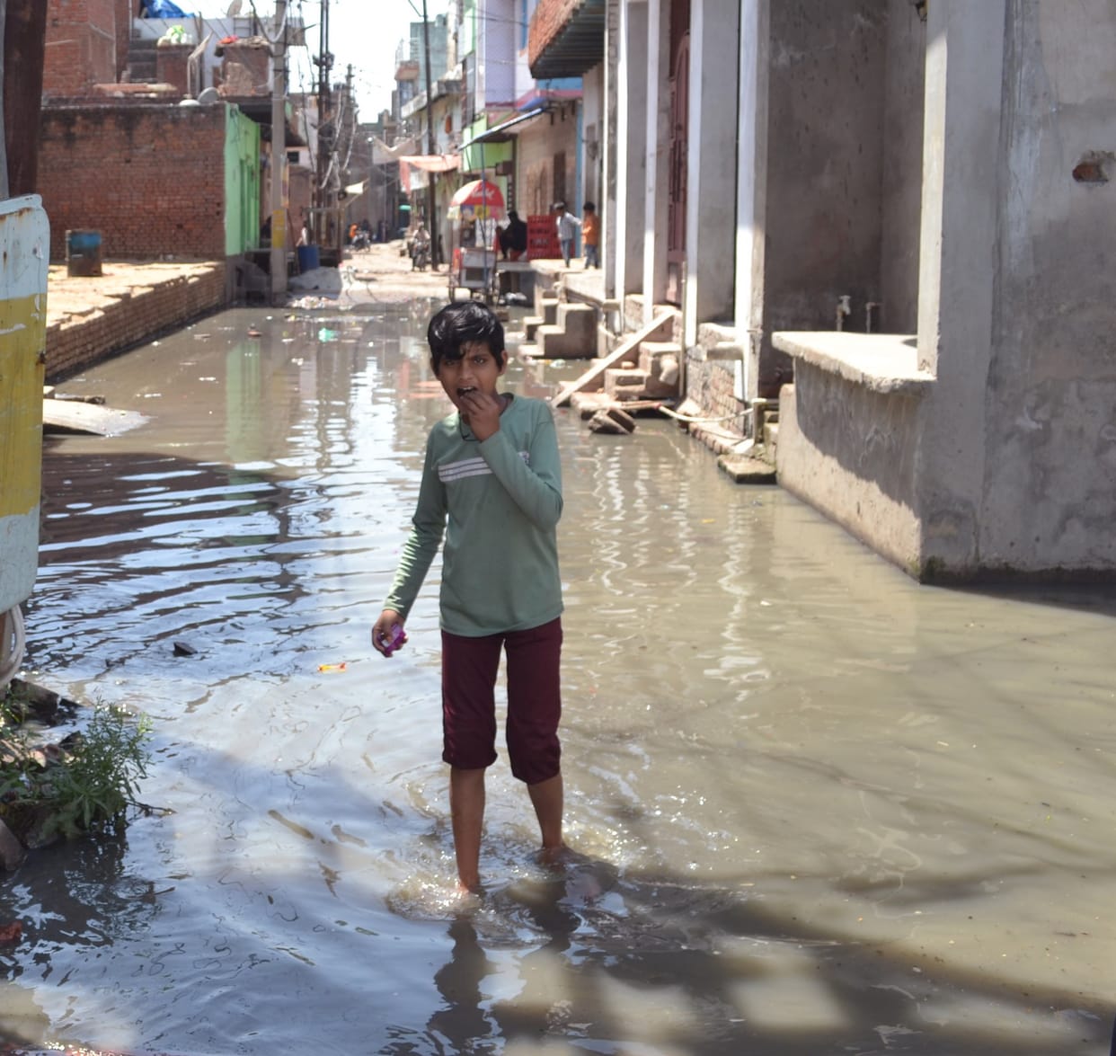 Fly-mosquitoes and filth in Mohalla Srinagar