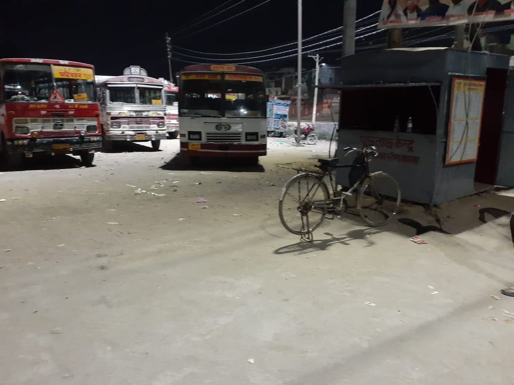 Electric city bus service will start in metropolis