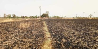 Kushinagar News: शाॅर्ट सर्किट से लगी आग, 35 किसानों की 25 एकड़ गेहूं की फसल जली 25 acres of wheat crop burnt in kushinagar