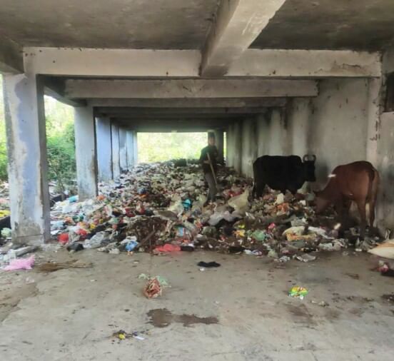 Businessmen Troubled By The Dumping Yard Of Garbage, It Is Difficult To