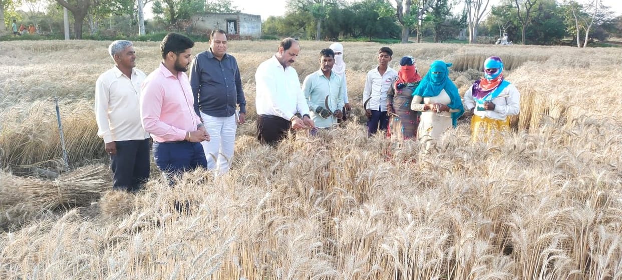 DC inspected the crops damaged due to hailstorm and rain