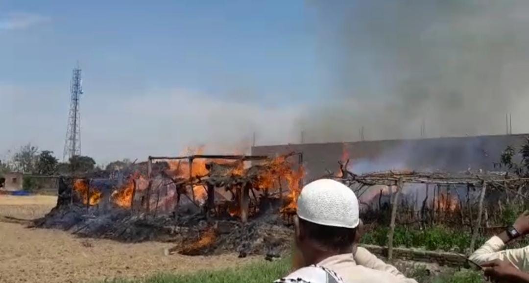 5 animals burnt in fire