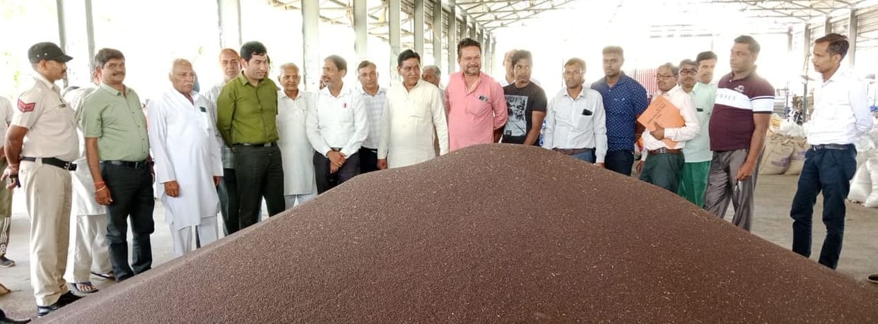 SDM inspected mustard purchase in grain market