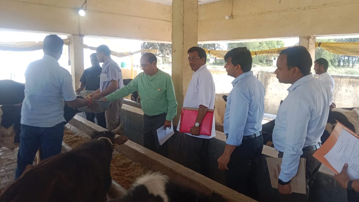 Gaushala will deliver the animals on leave