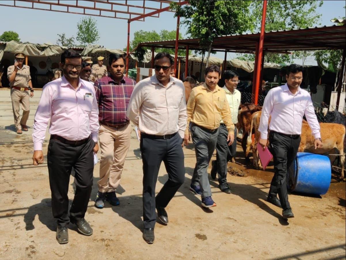 Nodal officer did surprise inspection of cow shelter sites