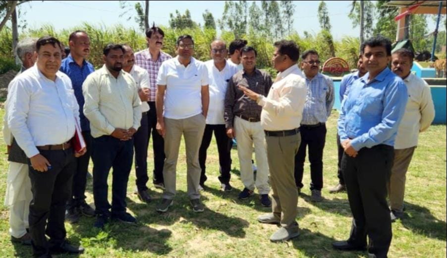 Special Secretary inspected the temporary cow shelter